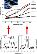 Graphical abstract: Molecular vibration as a novel explanatory mechanism for the expression of animal colouration