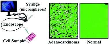 Graphical abstract: An adhesion based approach for the detection of esophageal cancer