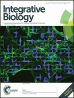Graphical abstract: Front cover