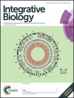Graphical abstract: Front cover