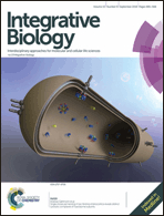 Graphical abstract: Front cover