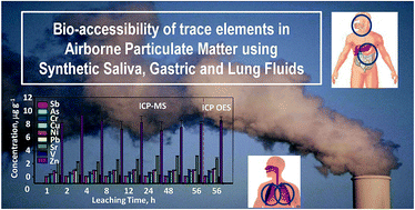 Graphical abstract: Risk assessment of trace elements in airborne particulate matter deposited on air filters using solid sampling ETV-ICPOES to measure total concentrations and leaching with simulated saliva, gastric juice and lung fluid to estimate bio-accessibility