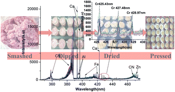 Graphical abstract: Quantitative analysis of chromium in pork by PSO-SVM chemometrics based on laser induced breakdown spectroscopy