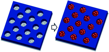 Graphical abstract: Large-scale patterning of living colloids for dynamic studies of neutrophil–microbe interactions