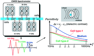 Graphical abstract: A high-throughput flow cytometry-on-a-CMOS platform for single-cell dielectric spectroscopy at microwave frequencies