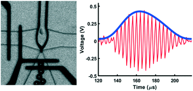 Graphical abstract: A flow focusing microfluidic device with an integrated Coulter particle counter for production, counting and size characterization of monodisperse microbubbles