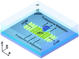 Graphical abstract: Three-dimensional numerical simulation and experimental investigation of boundary-driven streaming in surface acoustic wave microfluidics