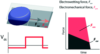 Graphical abstract: Digital microfluidics using a differentially polarized interface (DPI) to enhance translational force