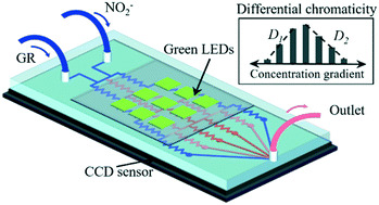 Graphical abstract: Optofluidic differential colorimetry for rapid nitrite determination