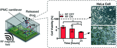 Graphical abstract: Wirelessly activated device with an integrated ionic polymer metal composite (IPMC) cantilever valve for targeted drug delivery