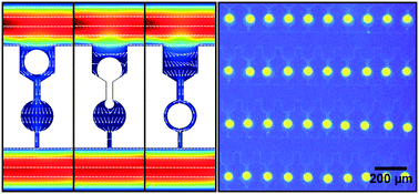 Graphical abstract: Observation of molecular self-assembly events in massively parallel microdroplet arrays