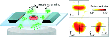 Graphical abstract: Enhancement of optical resolution in three-dimensional refractive-index tomograms of biological samples by employing micromirror-embedded coverslips