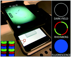 Graphical abstract: Dual-phone illumination-imaging system for high resolution and large field of view multi-modal microscopy
