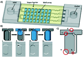 Graphical abstract: Self-digitization chip for quantitative detection of human papillomavirus gene using digital LAMP