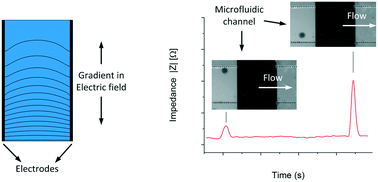 Graphical abstract: Gradient in the electric field for particle position detection in microfluidic channels