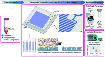 Graphical abstract: Enrichment of extracellular vesicles with lipid nanoprobe functionalized nanostructured silica