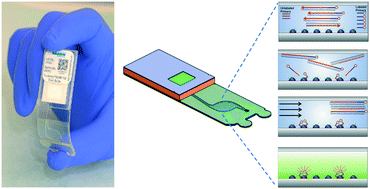 Graphical abstract: Lab-on-a-Film disposable for genotyping multidrug-resistant Mycobacterium tuberculosis from sputum extracts