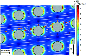 Graphical abstract: AC electrokinetic biased deterministic lateral displacement for tunable particle separation