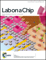 Graphical abstract: Front cover