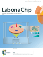 Graphical abstract: Inside front cover