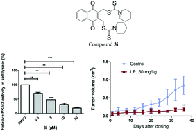 Graphical abstract: Anti-cancer effect of a novel 2,3-didithiocarbamate-substituted naphthoquinone as a tumor metabolic suppressor in vitro and in vivo