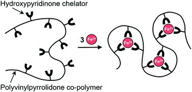 Graphical abstract: DIBI, a 3-hydroxypyridin-4-one chelator iron-binding polymer with enhanced antimicrobial activity