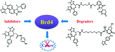 Graphical abstract: Targeting Brd4 for cancer therapy: inhibitors and degraders