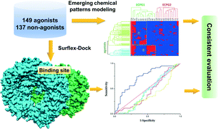 Graphical abstract: The emerging chemical patterns applied in predicting human toll-like receptor 8 agonists