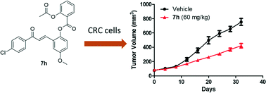 Graphical abstract: Novel hybrids derived from aspirin and chalcones potently suppress colorectal cancer in vitro and in vivo