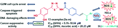 Graphical abstract: Novel 1,3,4-thiadiazole–chalcone hybrids containing catechol moiety: synthesis, antioxidant activity, cytotoxicity and DNA interaction studies