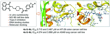 Graphical abstract: Design and synthesis of DNA-intercalative naphthalimide-benzothiazole/cinnamide derivatives: cytotoxicity evaluation and topoisomerase-IIα inhibition