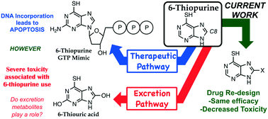 Graphical abstract: Efforts in redesigning the antileukemic drug 6-thiopurine: decreasing toxic side effects while maintaining efficacy