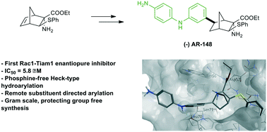 Graphical abstract: Identification of the first enantiopure Rac1–Tiam1 protein–protein interaction inhibitor and its optimized synthesis via phosphine free remote group directed hydroarylation