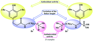 Graphical abstract: Design, synthesis, and biological activity of novel ammonium salts containing sterically hindered phenolic fragment and phosphoryl group