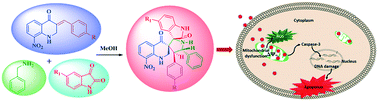 Graphical abstract: Synthesis and X-ray study of dispiro 8-nitroquinolone analogues and their cytotoxic properties against human cervical cancer HeLa cells