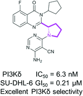 Graphical abstract: Conformationally restricted quinazolone derivatives as PI3Kδ-selective inhibitors: the design, synthesis and biological evaluation