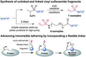 Graphical abstract: Vinyl sulfonamide synthesis for irreversible tethering via a novel α-selenoether protection strategy