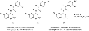 Graphical abstract: 2,2-Dimethyl-3,4-dihydro-2H-1,4-benzoxazines as isosteres of 2,2-dimethylchromans acting as inhibitors of insulin release and vascular smooth muscle relaxants