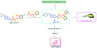 Graphical abstract: Identification and biological evaluation of novel benzothiazole derivatives bearing a pyridine-semicarbazone moiety as apoptosis inducers via activation of procaspase-3 to caspase-3