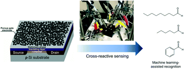 Graphical abstract: Field-effect transistor array modified by a stationary phase to generate informative signal patterns for machine learning-assisted recognition of gas-phase chemicals