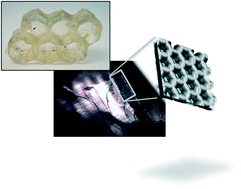 Graphical abstract: Multiscale additive manufacturing of polymers using 3D photo-printable self-assembling ionic liquid monomers