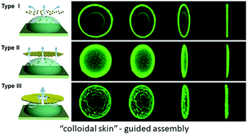 Graphical abstract: Large-scale colloidal films with robust structural colors