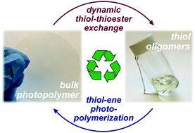 Graphical abstract: Recyclable and repolymerizable thiol–X photopolymers