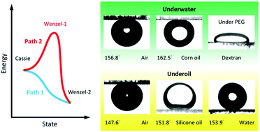 Graphical abstract: Superwettability with antithetic states: fluid repellency in immiscible liquids