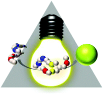 Graphical abstract: With polymer photoclicks to fluorescent microspheres