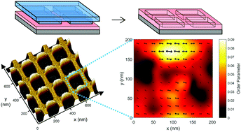 Graphical abstract: Nanoscale deformation in polymers revealed by single-molecule super-resolution localization–orientation microscopy