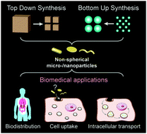 Graphical abstract: Non-spherical micro- and nanoparticles in nanomedicine