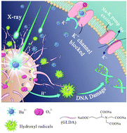 Graphical abstract: Radiation-assisted metal ion interference tumor therapy by barium peroxide-based nanoparticles