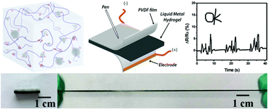 Graphical abstract: Ultra-stretchable hydrogels with reactive liquid metals as asymmetric force-sensors