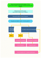 Graphical abstract: Clinical significance of the immune microenvironment in ovarian cancer patients